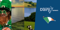 NZ Dairy Careers - Ireland Exchange Programme